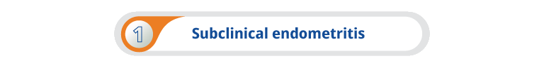 Subclinical Endometritis