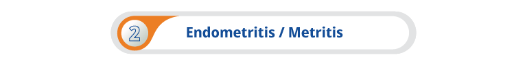 Endometritis / Metritis